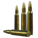 .222 Remington HP