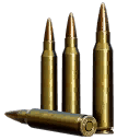 5.56x45mm HPBT