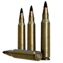 5.56x45mm FMJ (M193)