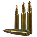 .222 Remington SP