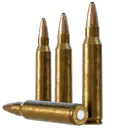 5.56x45mm SP