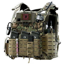 Spitfire Plate Carrier