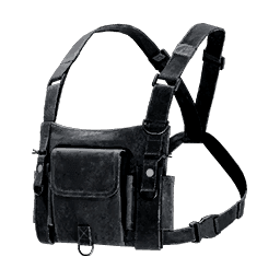 Universal Chest Bag