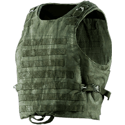 Molle Vest